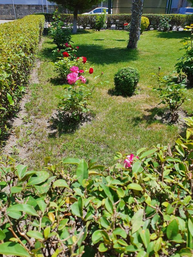 Sheki Avtovagzal Motel Eksteriør billede